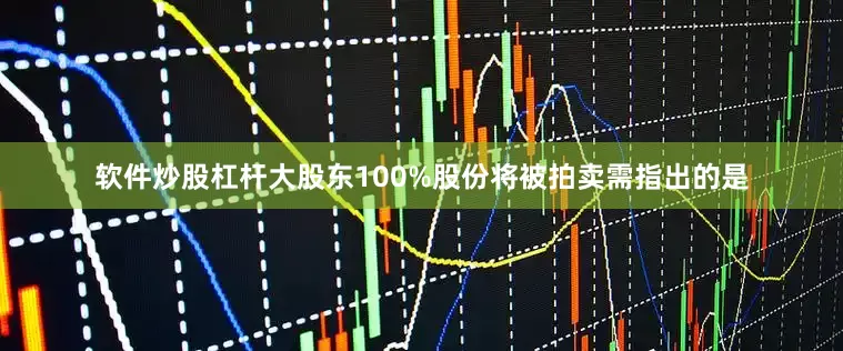软件炒股杠杆　　大股东100%股份将被拍卖　　需指出的是